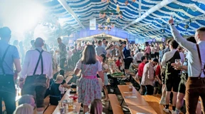 Suche nach Ausgelassenheit