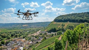 Drohneneinsatz im Weinberg