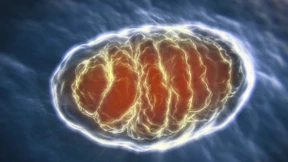 Zell-Kraftwerke unter Stress