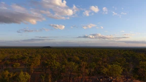 Verschwunden im Outback 