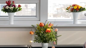 Gib den Blumen Zucker