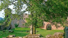 Dschungelfeste im Odenwald