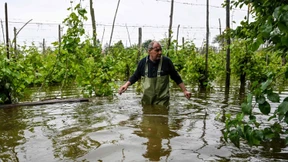 Flutschäden treffen Landwirtschaft schwer