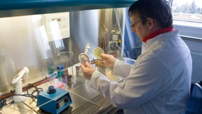 Pferdefleisch auch in Proben aus Hessen