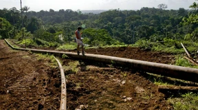 Ecuador baut Öl-Förderung in geschütztem Amazonas-Gebiet aus