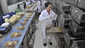 Neue Medikamente aus duftenden Blumen