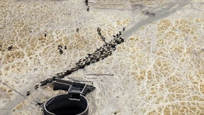 Forscher finden 2700 Jahre alte Weinfabrik im Irak