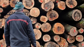 Hightech gegen Diebe