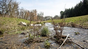 Stille Wasser für mehr Vielfalt
