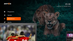 „Die Sender müssen aufpassen, den Markt nicht kaputt zu machen“