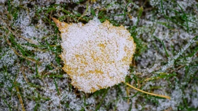 Meteorologen erwarten Schnee und Glätte in Teilen Deutschlands
