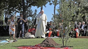 Die Herausforderung der Enzyklika: Hoffnung und Kritik in der ökologische Umkehr