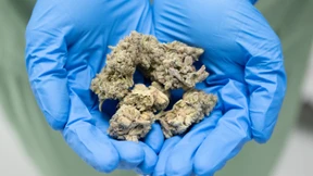 Markt für medizinisches Cannabis floriert