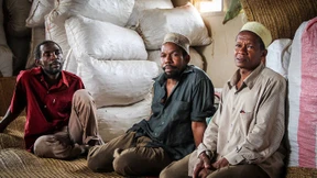 Wo der Bio-Pfeffer wächst