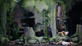 Das Genie im Zeitalter der Preisboxer