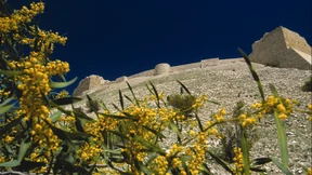 Kreuzritterburgen und arabische Wüstenschlösser