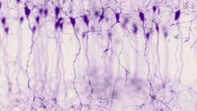 Erzählen im Höllentempo des Zeitraffers