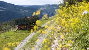 Skiloipen haben keine Zukunft