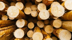 Großhandelspreise in Deutschland ziehen im Juli stark an