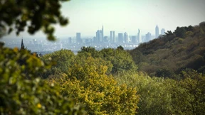 Im Taunus hilft die Nähe zur Großstadt