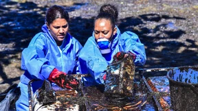 Haare schneiden gegen Ölkatastrophe in Mauritius