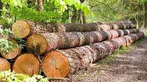 Kein Vertrauen in die Landesregierung