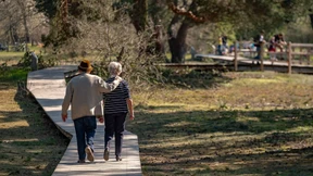 Zwei wichtige Urteile für Rentner