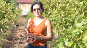 Wo Noah die ersten Reben pflanzte