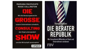 Wie viele Berater der Staat verträgt