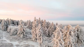 Gibt es noch Hoffnung auf weiße Weihnachten?
