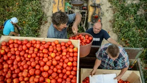 Ernährungsorganisation: Gebt altes Essen den Armen