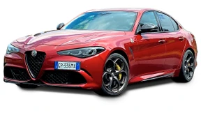 Kraftkur für die Kleeblätter