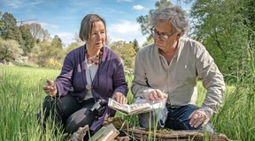 Miniwälder und Totholz könnten Artenvielfalt bewahren