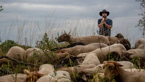 Eine Idylle steht vor dem Aus