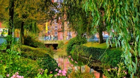 Besonders starker Wildwechsel