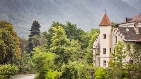 Sushikäse aus Südtirol