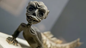 Die Monster sind los