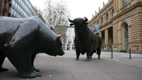 Hiebe im Finanzmarkt-Zoo