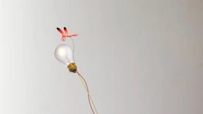 Ein Zauberer des schönen Scheins