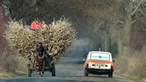 Europa als Wille und Vorstellung