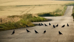 Auch dieser Juni war zu warm und zu trocken