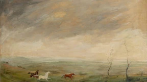 Kunst im Dienst der Diktatur