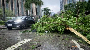 55 Verletzte nach Taifun „Saola“