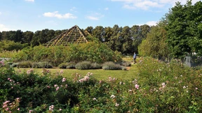 Einst Zentrum für die Königin der Blumen 