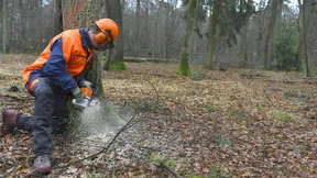 „Am Ende zahlen alle drauf“
