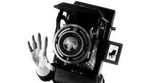 Die Kunst, Katzen zum Leuchten zu bringen