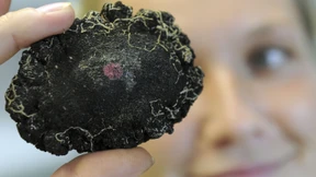 Warum Umweltschützer die Entscheidung Norwegens zum Tiefseebergbau kritisieren