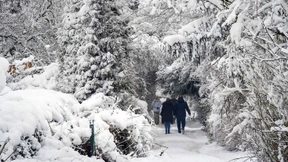 Der Januar beginnt in Hessen winterlich
