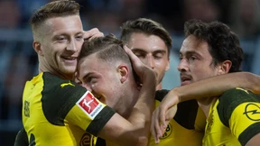 Wahnsinn in Schwarz-Gelb