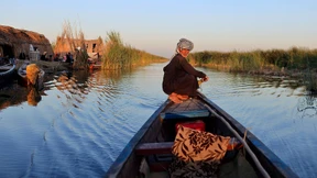 Was Saddam Hussein begann, setzt der Klimawandel fort